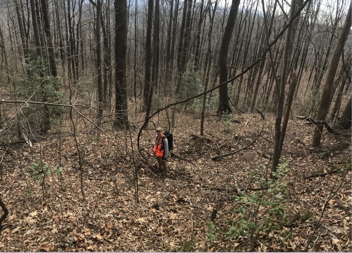 What does that landslide actually look like? - Philip S Prince, Geologist